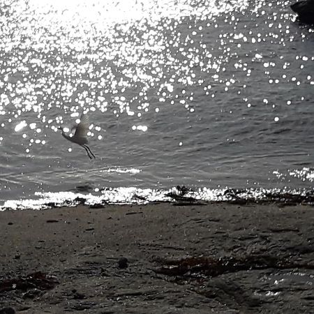 Appartement Proche De La Mer Guilvinec Eksteriør bilde